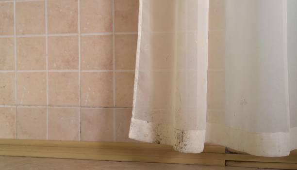 Dehumidification Services in Tishomingo, OK