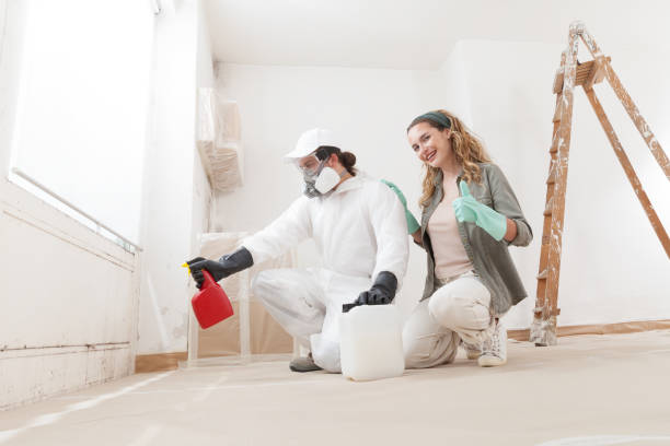 Best Attic Mold Removal  in Tishomingo, OK